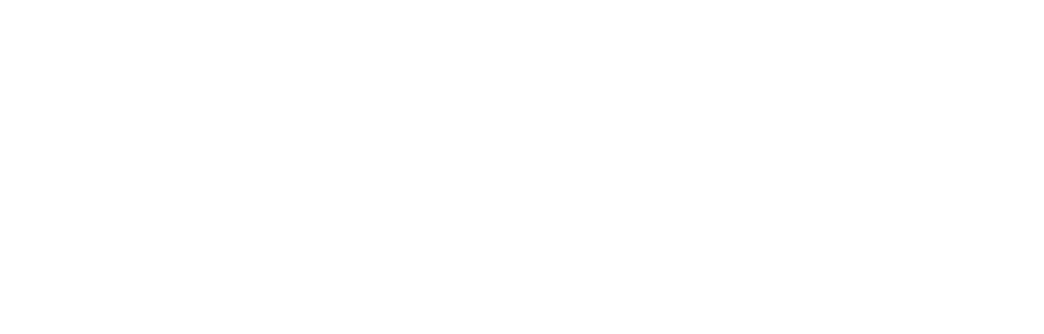 VEGASOFT